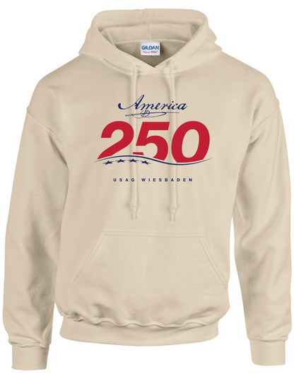 250th USAG WIESBADEN - HOODIE